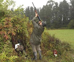 La Diputación de Bizkaia aprobará la Orden Foral de Vedas con novedades en la caza menor y mayor